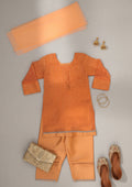 Girl 3 Piece Fancy Suit