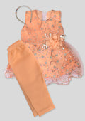 Infant Girls Fancy Frock