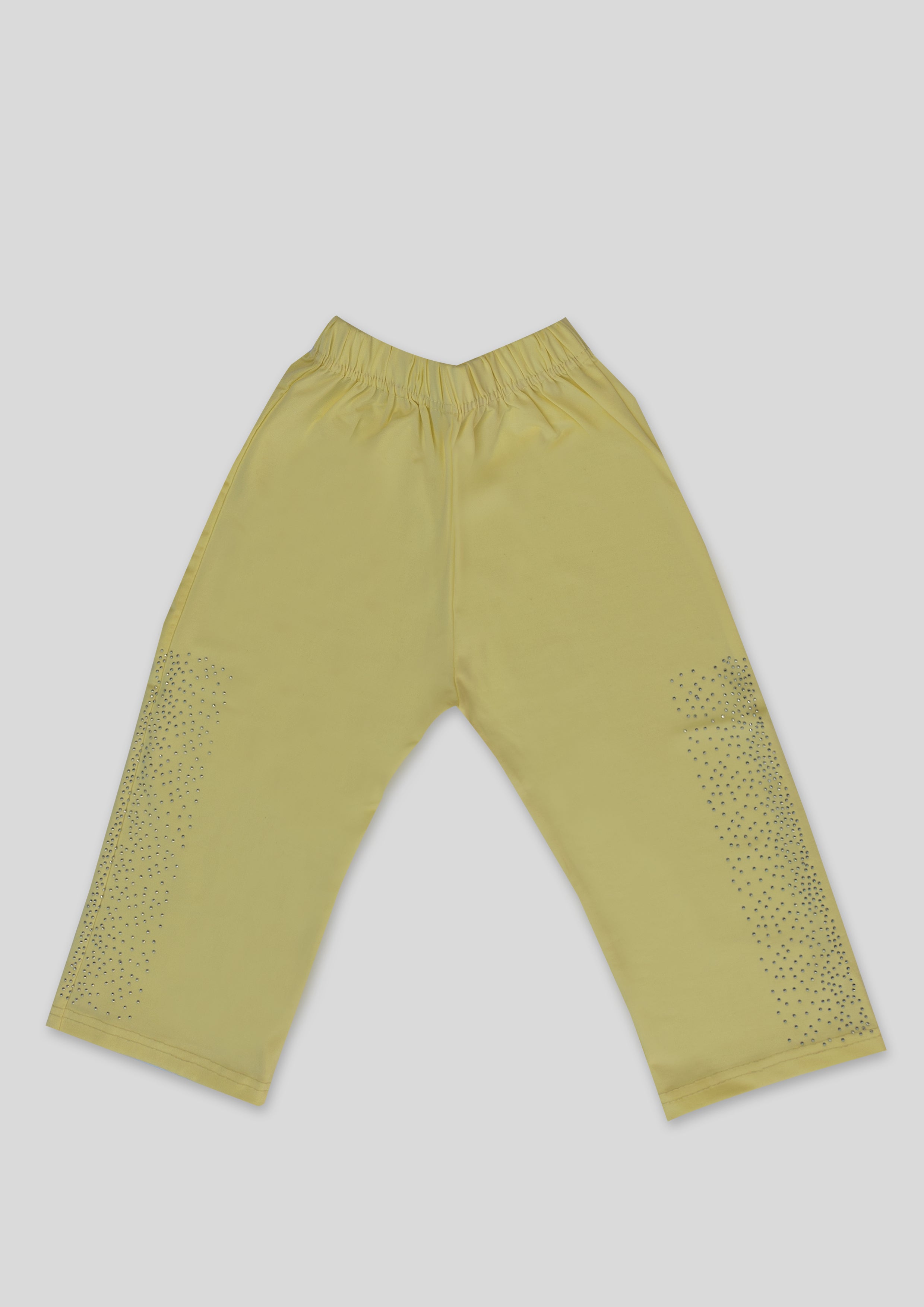 Girl 2 Piece Fancy Suit