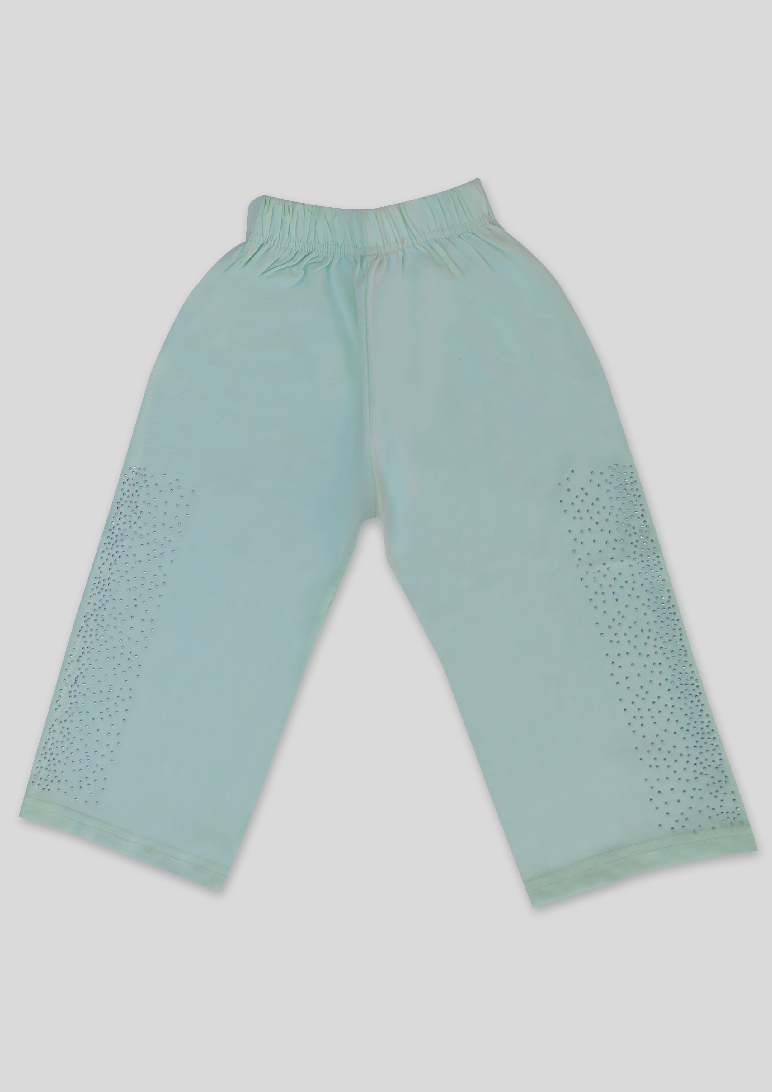 Girl 2 Piece Fancy Suit