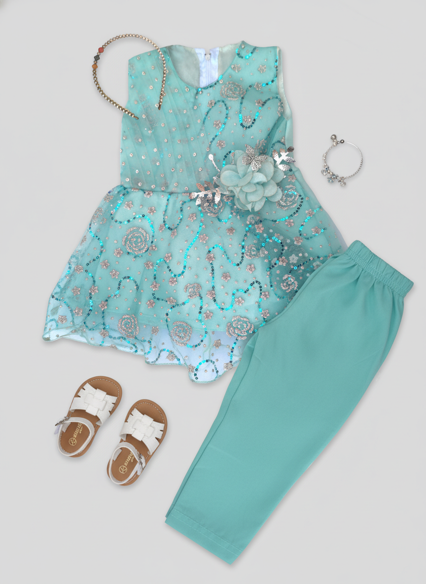 Infant Girls Fancy Frock